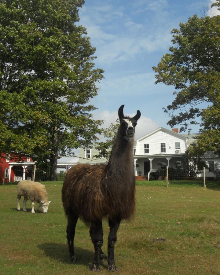 Maple Hill Farm 3*